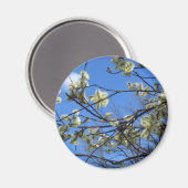 春 マグネット (正面/裏面)