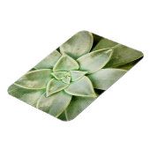 春 マグネット (左側)