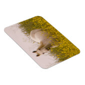 春 マグネット (右側)