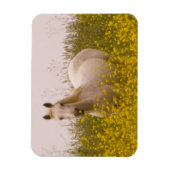 春 マグネット (縦)