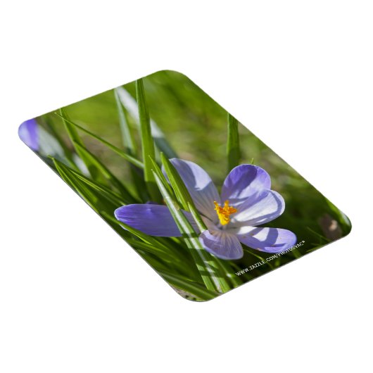 春 マグネット (右側)