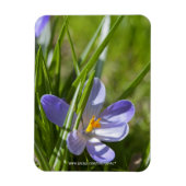 春 マグネット (縦)