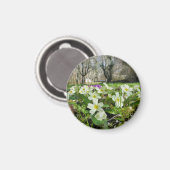 春 マグネット (正面/裏面)