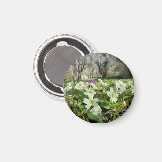 春 マグネット (正面/裏面)