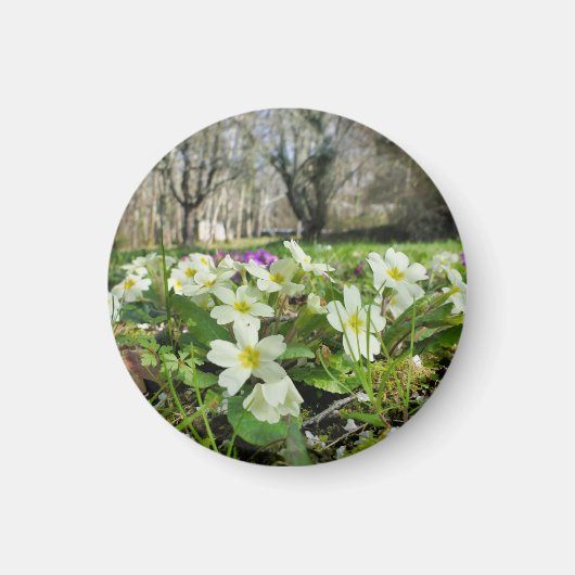 春 マグネット (正面)