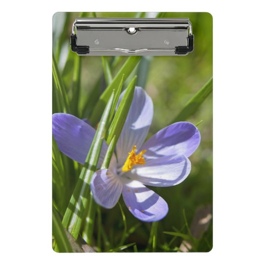 春 ミニクリップボード (正面)