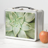 春 メタルランチボックス (インサイチュ)