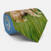 春(モネ) – ゴールデンレトリバー ネクタイ (ロール)