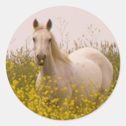 春 ラウンドシール (正面)