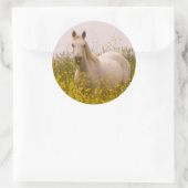 春 ラウンドシール (バッグ)