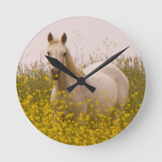 春 ラウンド壁時計 (正面)