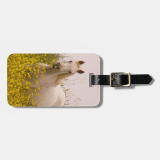 春 ラゲッジタグ (正面横)