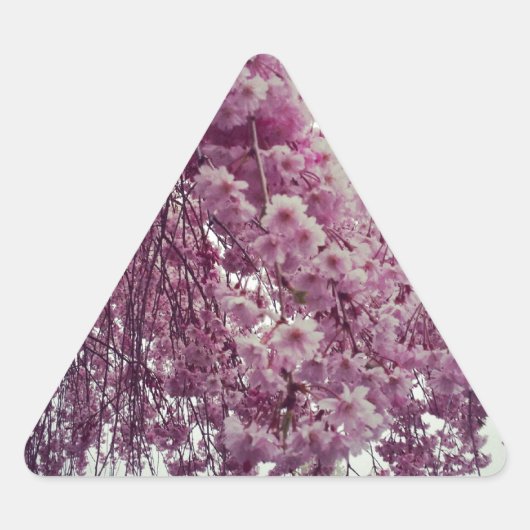 春 三角形シール (正面)