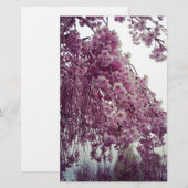 春 便箋 (正面/裏面)