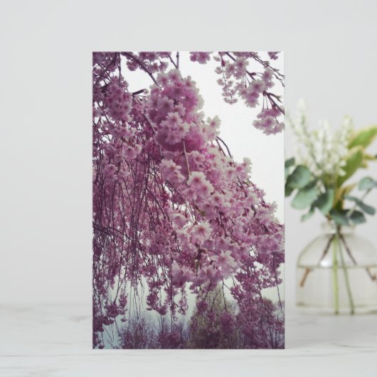 春 便箋 (スタンド正面)