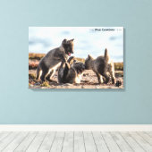 春 – 北極キツネ キャンバスプリント (インサイチュ (ウッドフロア))