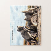 春 – 北極キツネ ジグソーパズル (縦)