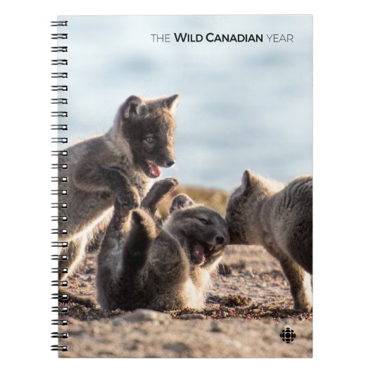 春-北極キツネ ノートブック (正面)