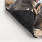 春 – 北極キツネ マウスパッド (コーナー)