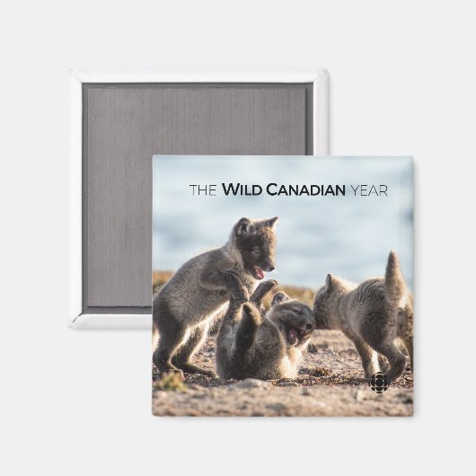 春 – 北極キツネ マグネット (正面/裏面)