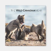 春 – 北極キツネ マグネット (正面)