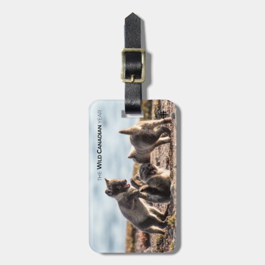 春 – 北極キツネ ラゲッジタグ (正面縦)