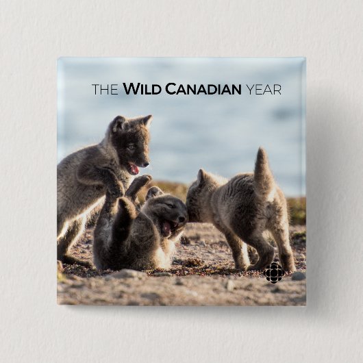 春 – 北極キツネ 缶バッジ (正面)