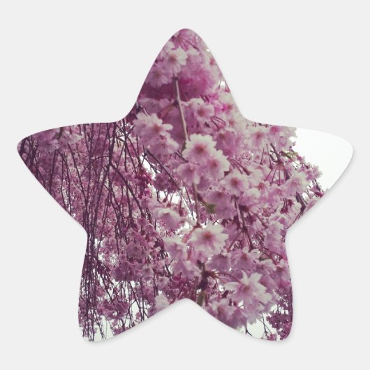 春 星シール (正面)