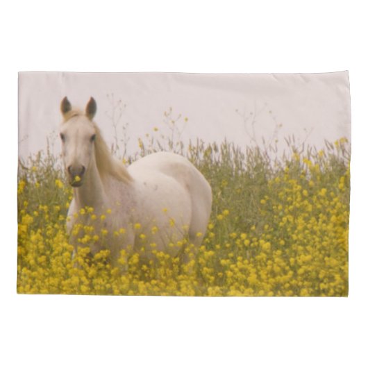 春 枕カバー (裏面-左)