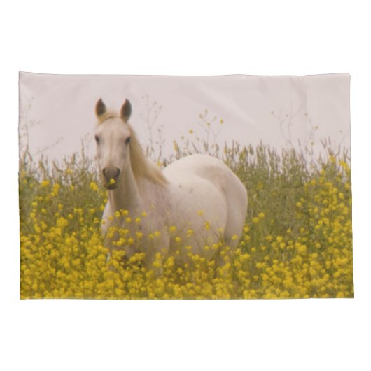 春 枕カバー (裏面-右)