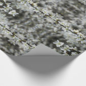春，白い花の写真，贈り物紙 ラッピングペーパー (角)