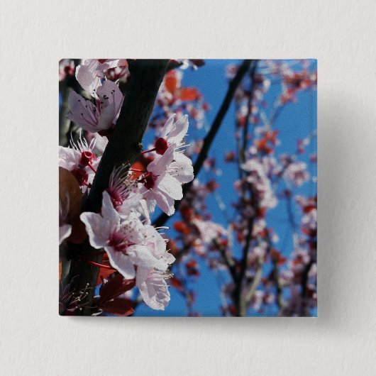 春 缶バッジ (正面)