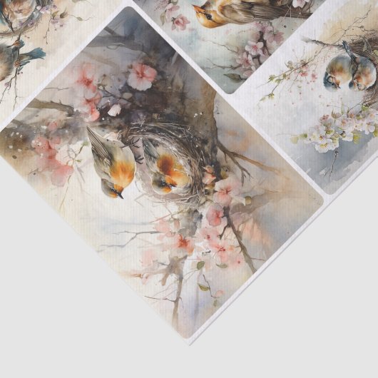 春 薄葉紙 (詳細)