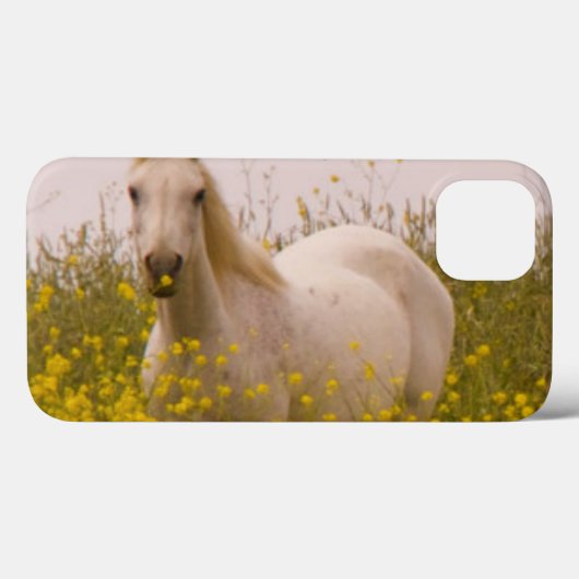 春 Case-Mate iPhoneケース (裏面 (横))