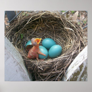 春_new_誕生_firstborn ポスター