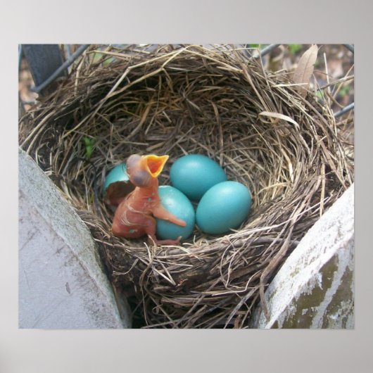 春_new_誕生_firstborn ポスター (正面)