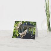 「春」Notecard カード (正面)