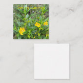 春Equinoxモンキーフラワー ノートカード (正面/裏面)