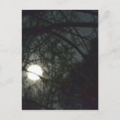 春Equinox満月 ポストカード (正面)