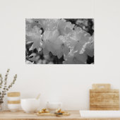 春IIIの美しい ポスター (キッチン)