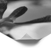 春IIIの美しい ポスター (角)