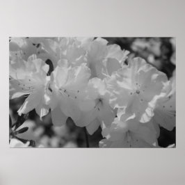 春IIIの美しい ポスター