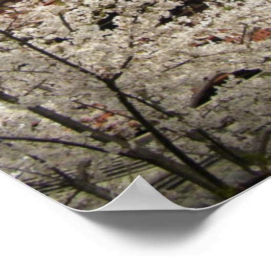 春No.1/ ポスター (角)