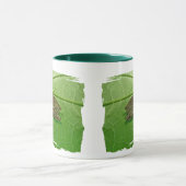 春Peeper (Pseudacrisのcrucifer)のTreefrog項目 マグカップ (中央)