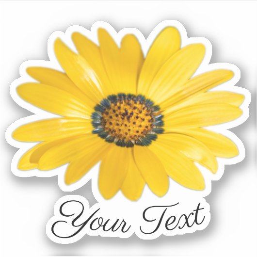 春sのオレンジの花の黄色い花の花びら シール (正面)