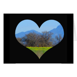 春Sonoma郡に咲くマスタード