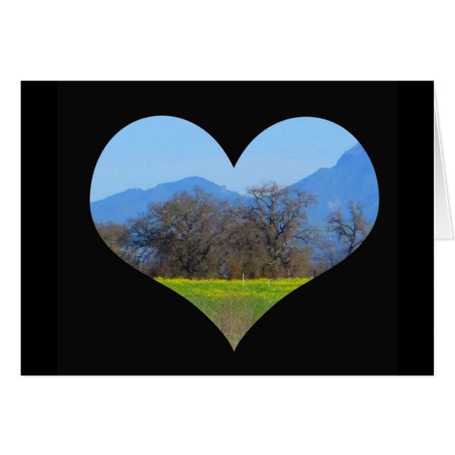 春Sonoma郡に咲くマスタード (正面横)