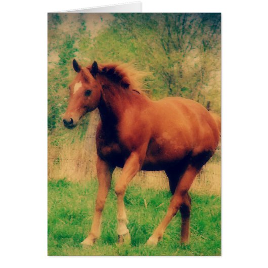 春Sorrelすべての行事グリーティングカード (正面)