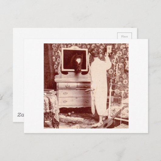 昨夜はジャッカスだったに違いないおもしろい ポストカード (正面/裏面)