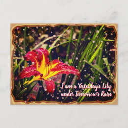 昨日のリリーで明日の雨 ポストカード
